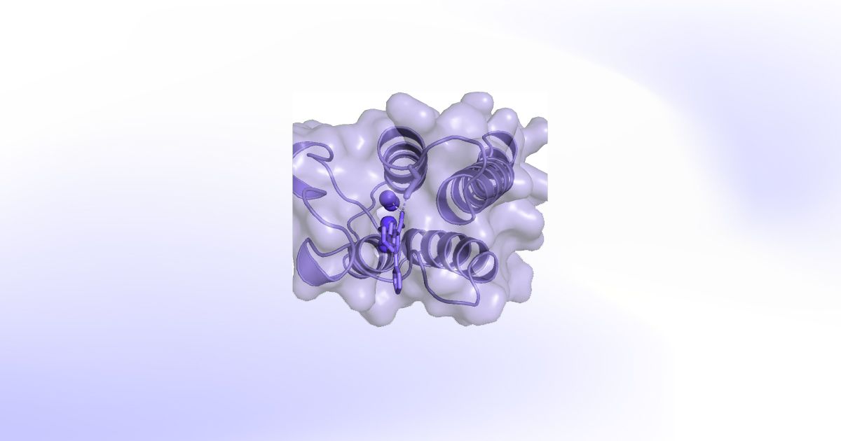 Molecular Dynamics Simulations Foundation